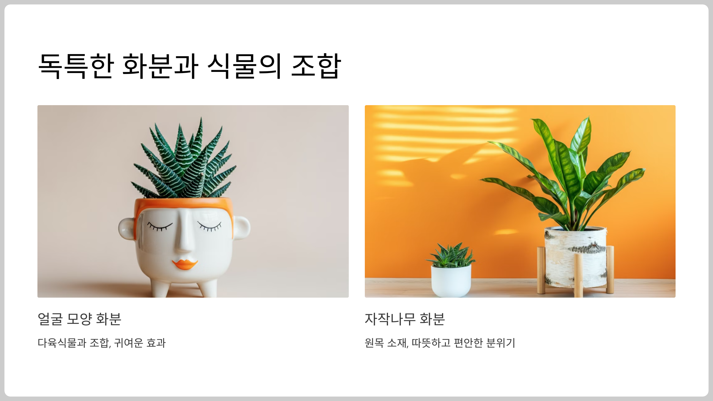독특한 화분과 식물의 조화