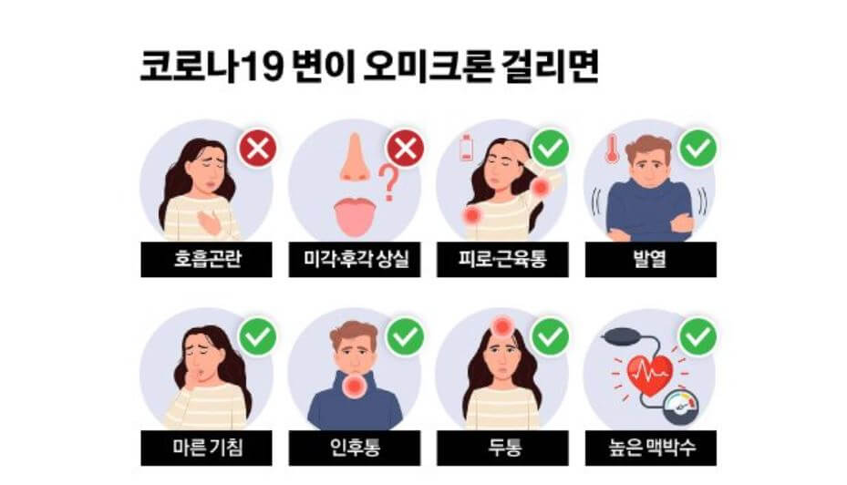 참고 이미지2
