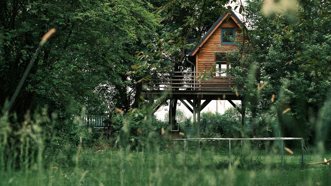Treehouse