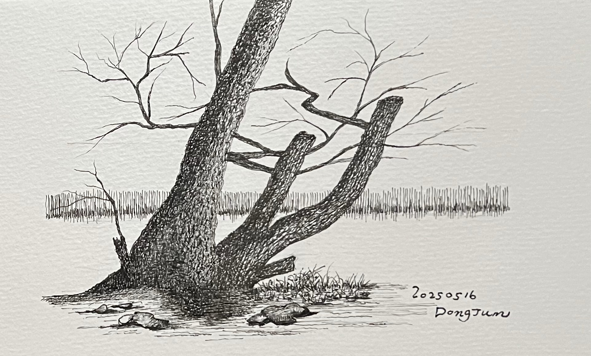 질감 표현 연습