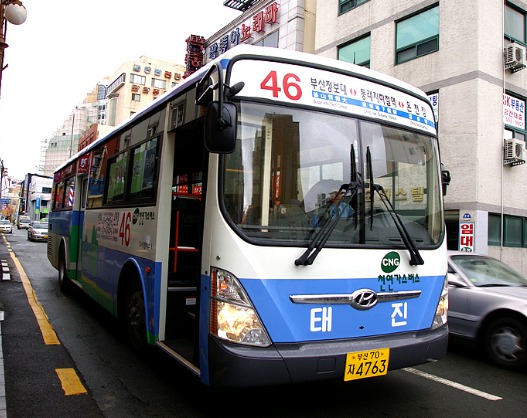 동백패스 신청 방법과 혜택 총정리! 월 최대 4만5천 원 환급받는 법