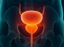 전립선에 좋은 음식