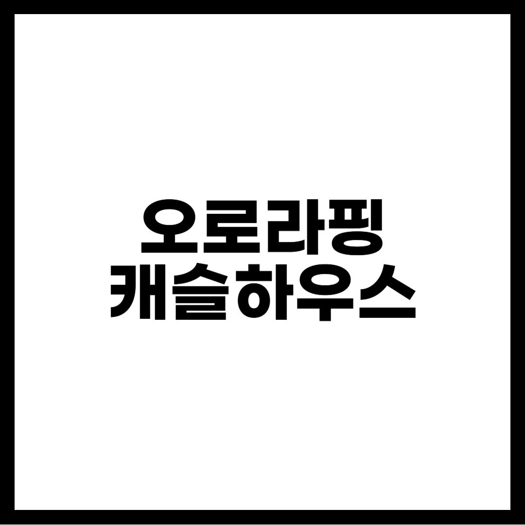 오로라핑 캐슬하우스