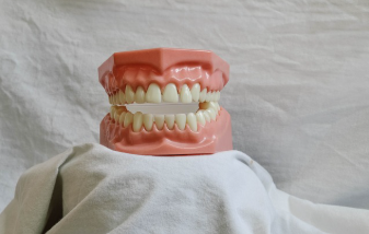 노인·차상위 계층 대상 임플란트 지원, 시·도별 차이점은?