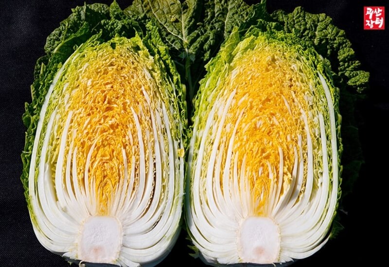 나란히-놓여있는-두쪽의-배추