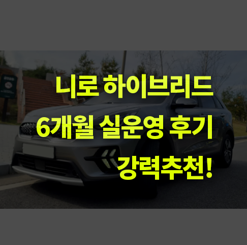 니로 하이브리드, 6개월 실운행 후기! 추천해도 될까?