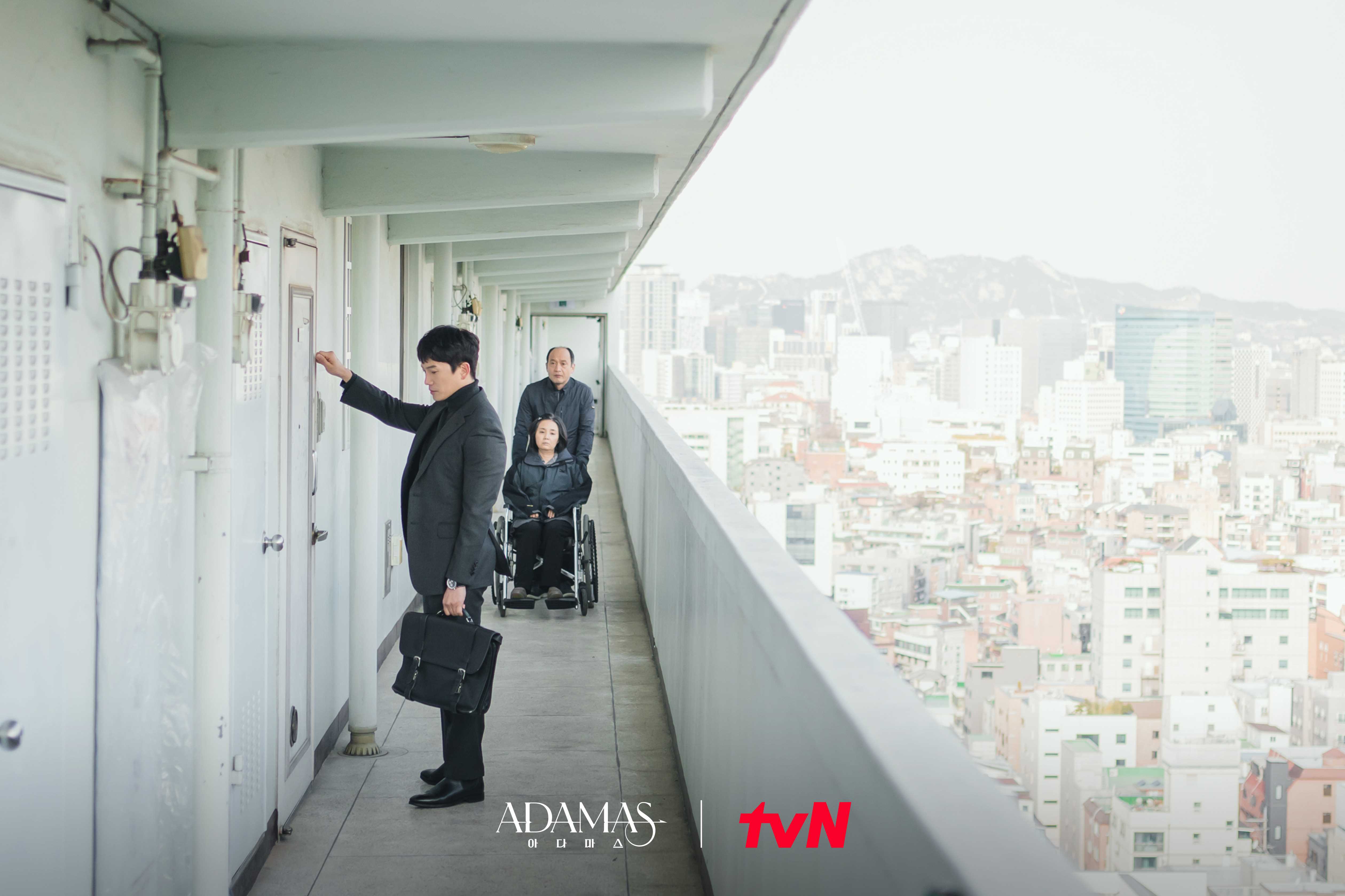 아다마스 스틸컷