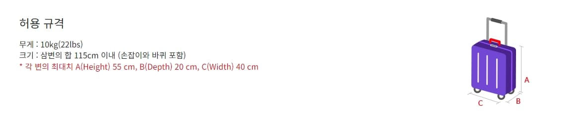 휴대수하물 안내