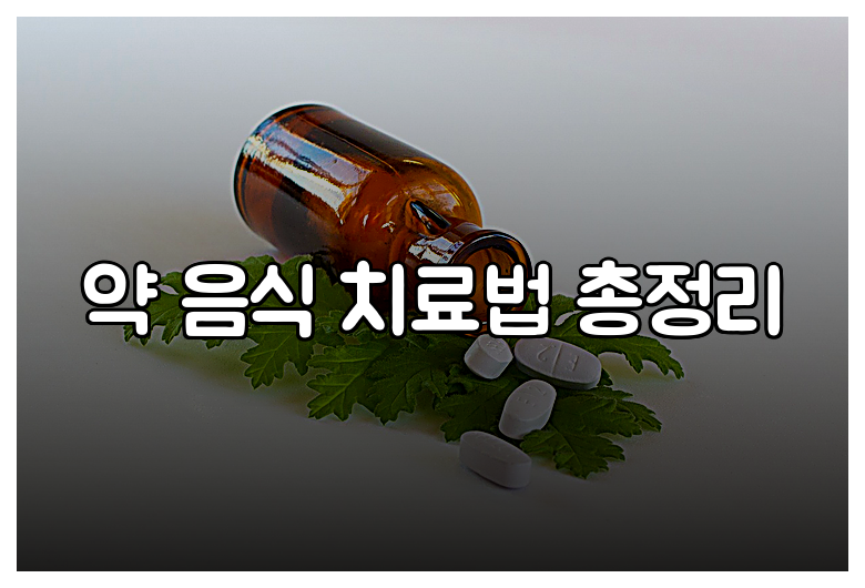 약 음식 치료법 총정리