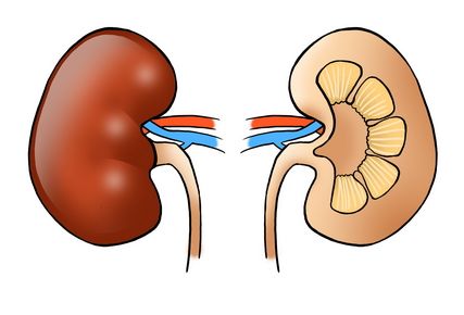 사구체신염 증상