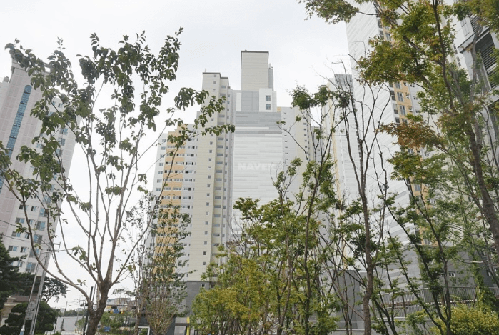 꿈의숲 코오롱 하늘채