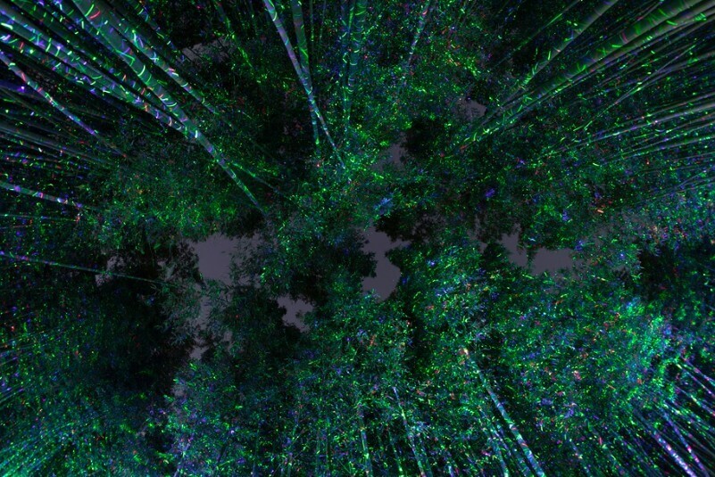 울산여행 태화강 대나무숲 축제 야경