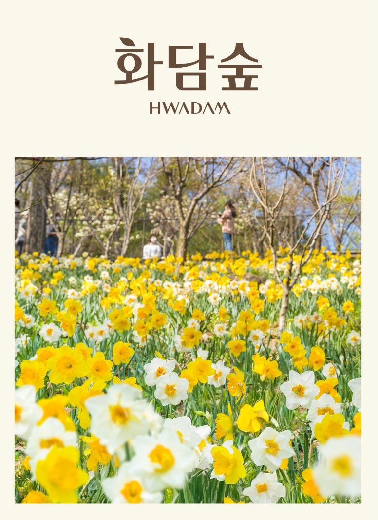 화담숲 예약하기 (2025년 봄시즌 입장권)