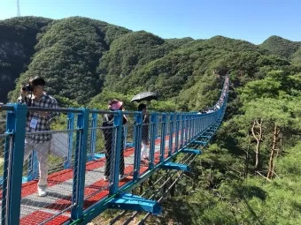 원주 가볼만한곳 추천 맛집 카페 여름 최신_11