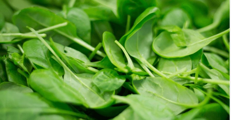 췌장에 좋은 음식 사진 시금치