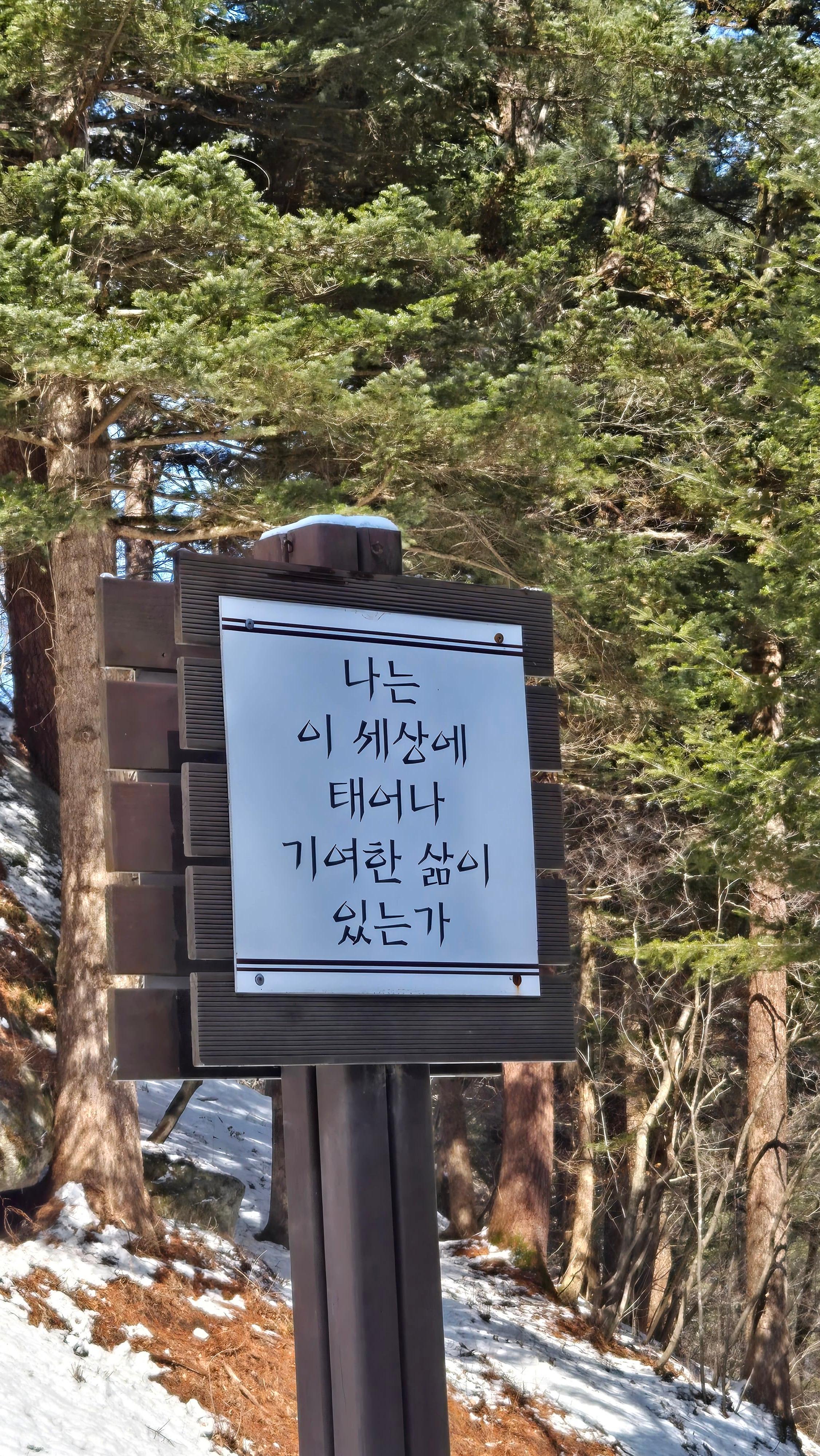 월정사 지장암 가는 길에