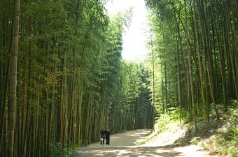 담양 죽녹원 소아르호텔 숙박 맛집_2