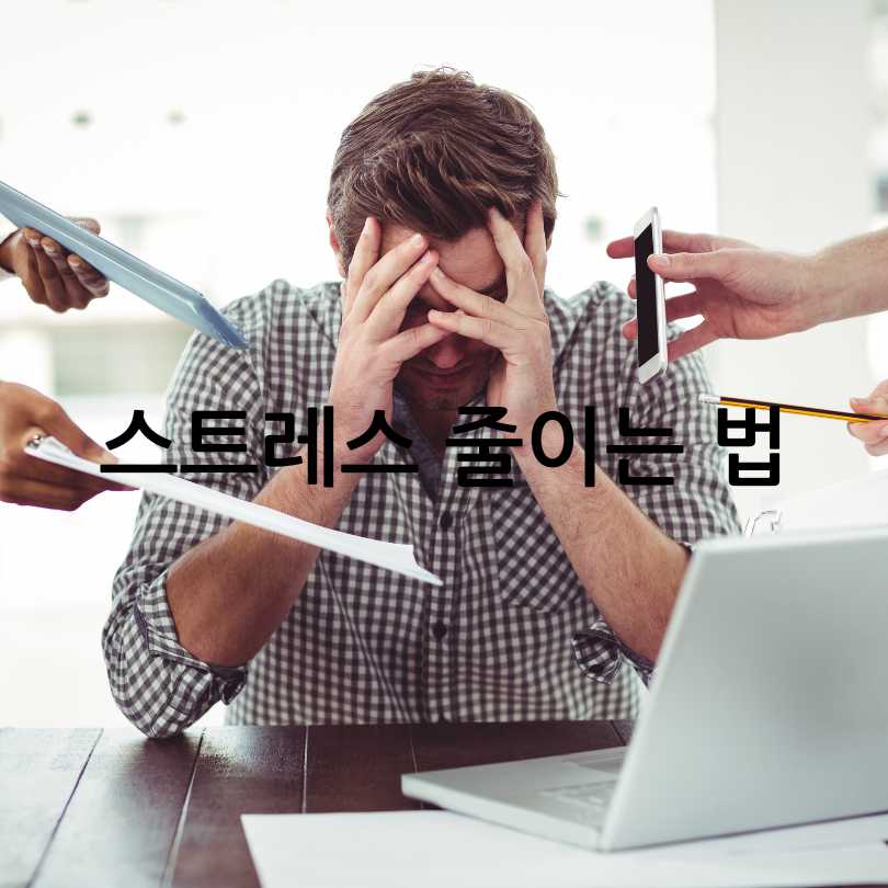 텔로미어늘이는방법