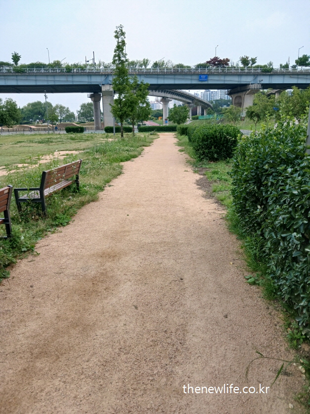 Soft dirt path for barefoot walking at Gwangnaru Hangang Park with benches and bridge view-벤치와 고가도로가 보이는 광나루 한강공원의 부드러운 맨발 걷기 흙길