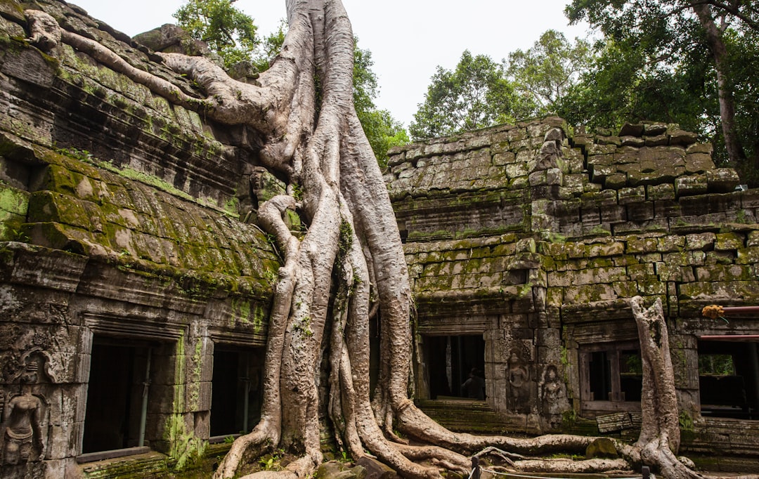 Cambodia