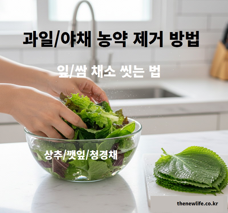 상추와 깻잎을 물에 담가 흔들어 주름 사이 과일 야채 농약 제거 방법을 실행하는 잎채소 세척 모습
