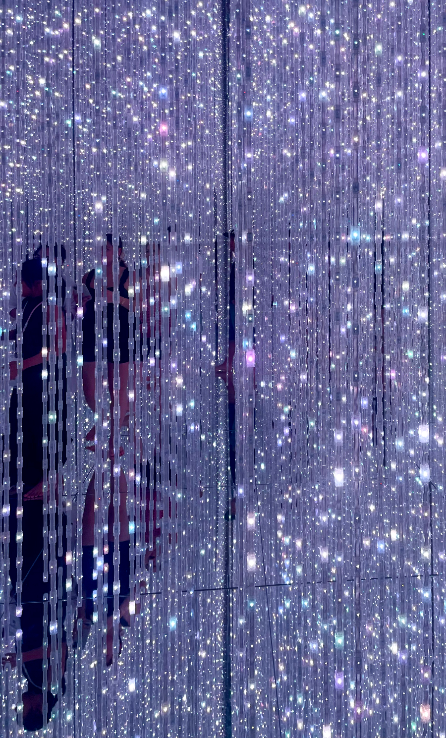 일본 도쿄 팀랩 플래닛 여행-생명은 결정화된 덧없는 빛