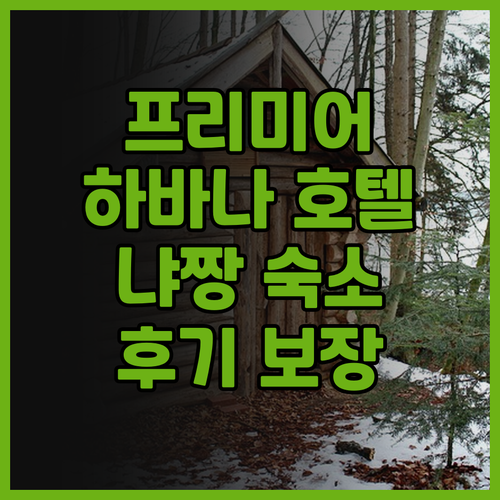프리미어 하바나 냐짱 호텔, 후기가