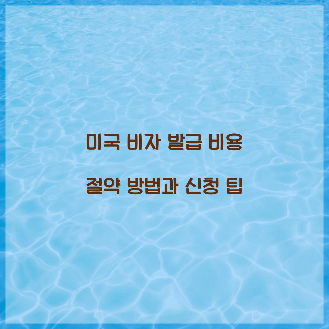 미국 비자 발급 비용