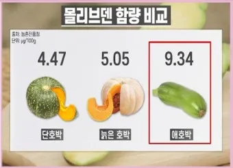 애호박 효능 여름철 보약 같은 채소 정리_13