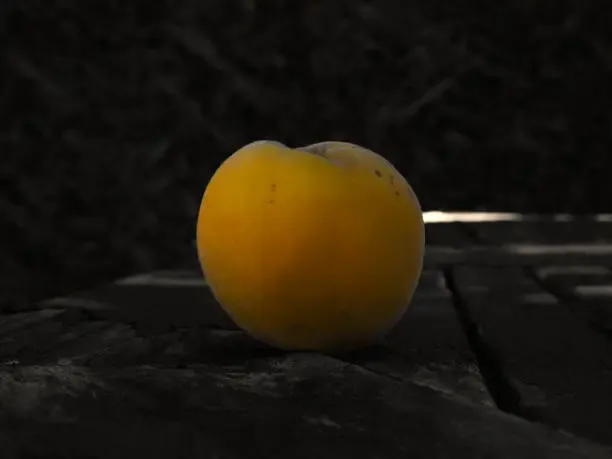 신비복숭아 후숙방법