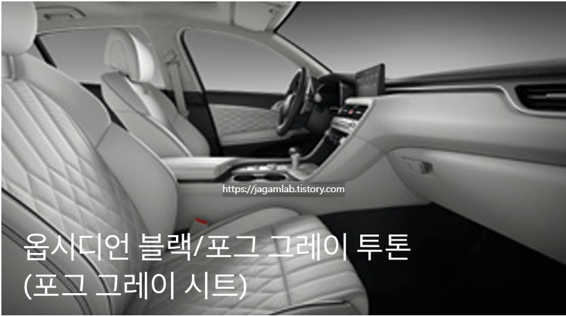 2026 G70 옵시디언 블랙/포그 그레이 투톤 내장 컬러 및 나파가죽 시트