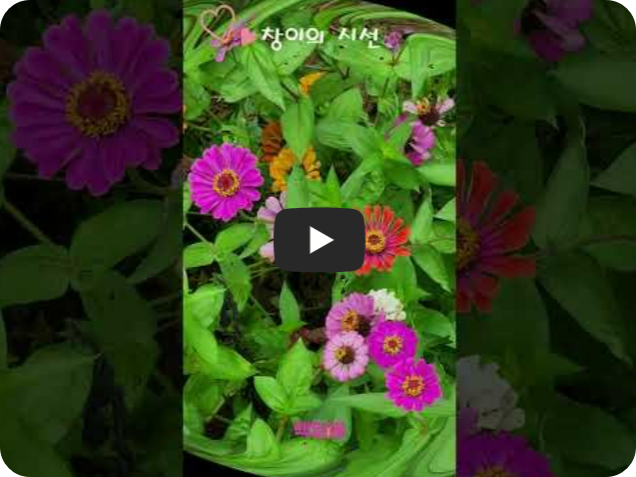 여름꽃, 백일홍, 꽃말