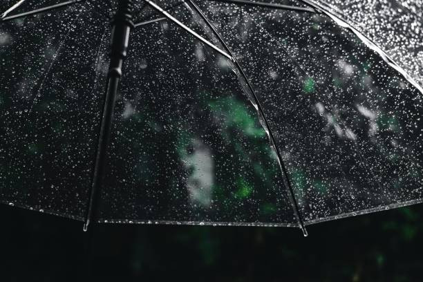 장마 기간 동안 날씨 정보