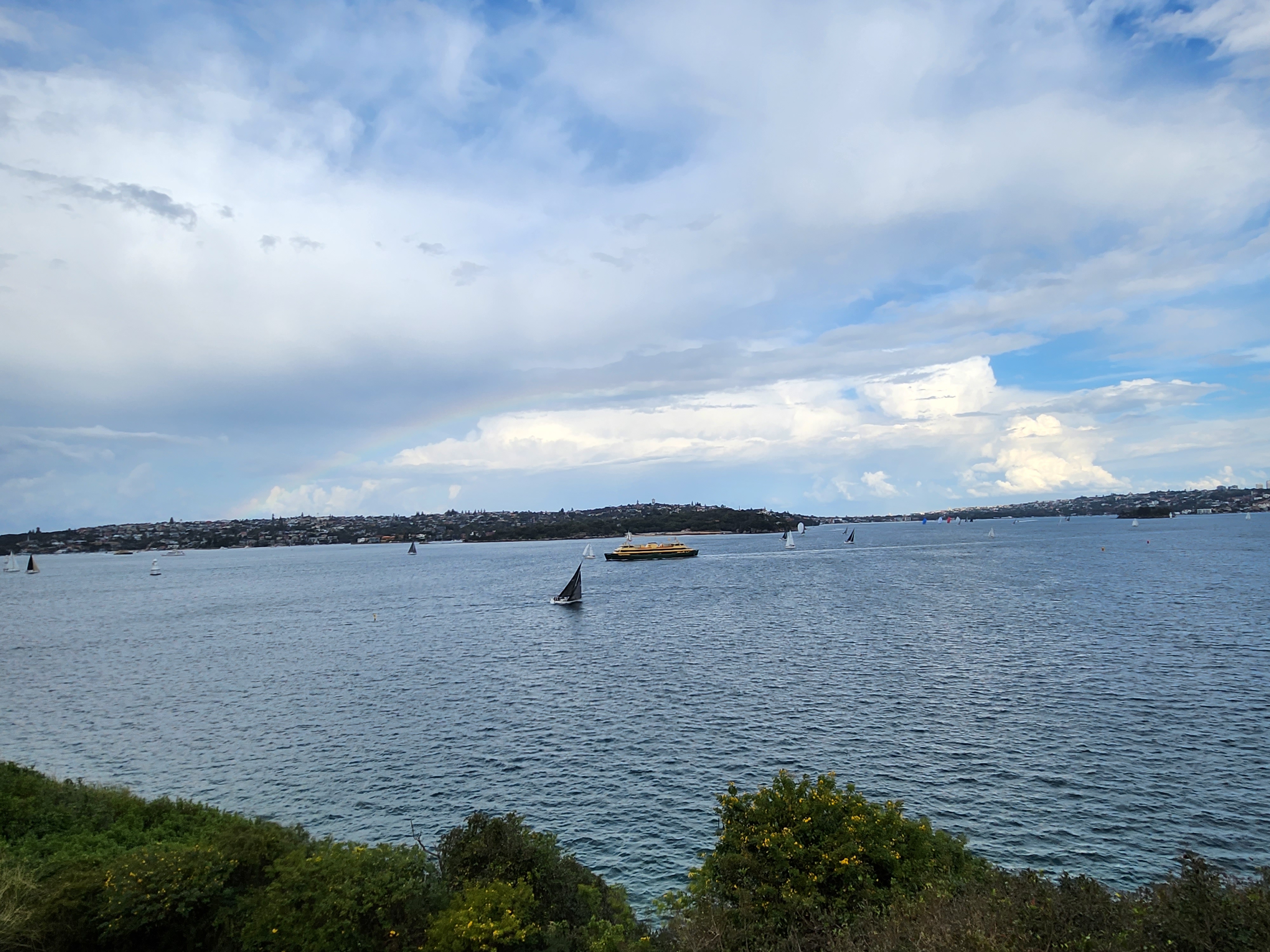 호주 결혼 피로연