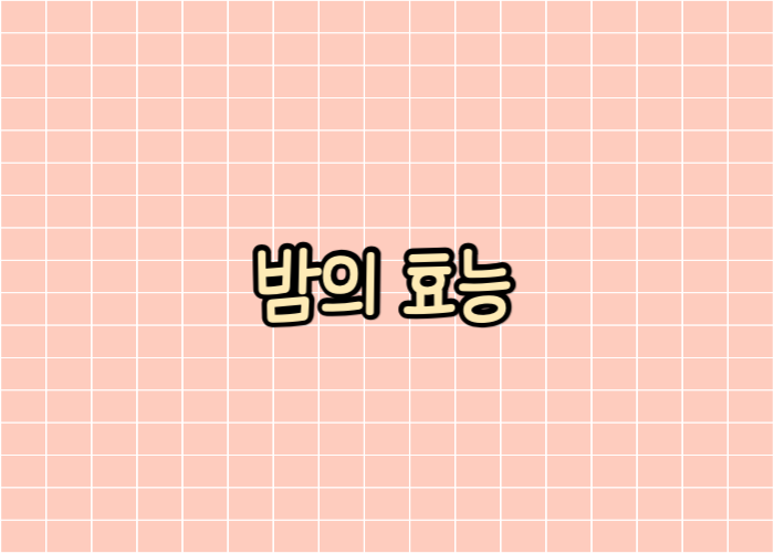 밤의 효능 글자이미지