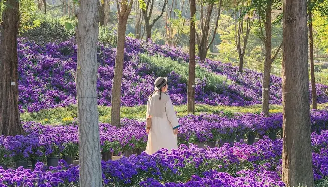 아산 피나클랜드2