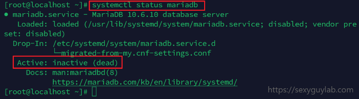 MariaDB 상태 확인1