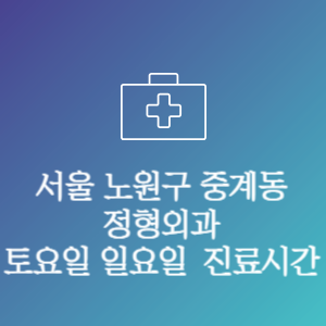 서울 노원구 중계동 정형외과 주말 토요일 일요일 문여는 병원 진료시간