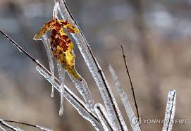 부부가 함께 받는 국민연금&amp;#44; 두 배로 받는 법! 2026년 부부 연금 전략