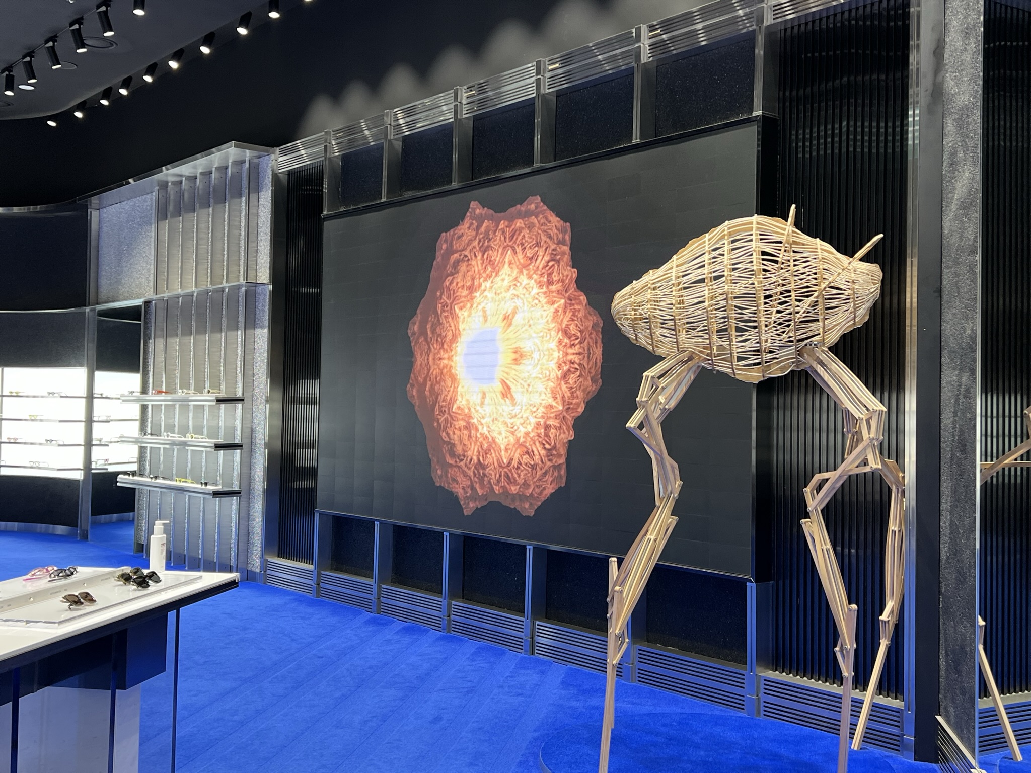 동탄-롯데배화점-젠틀몬스터