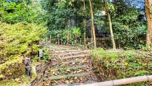 계단오르기 운동 효과