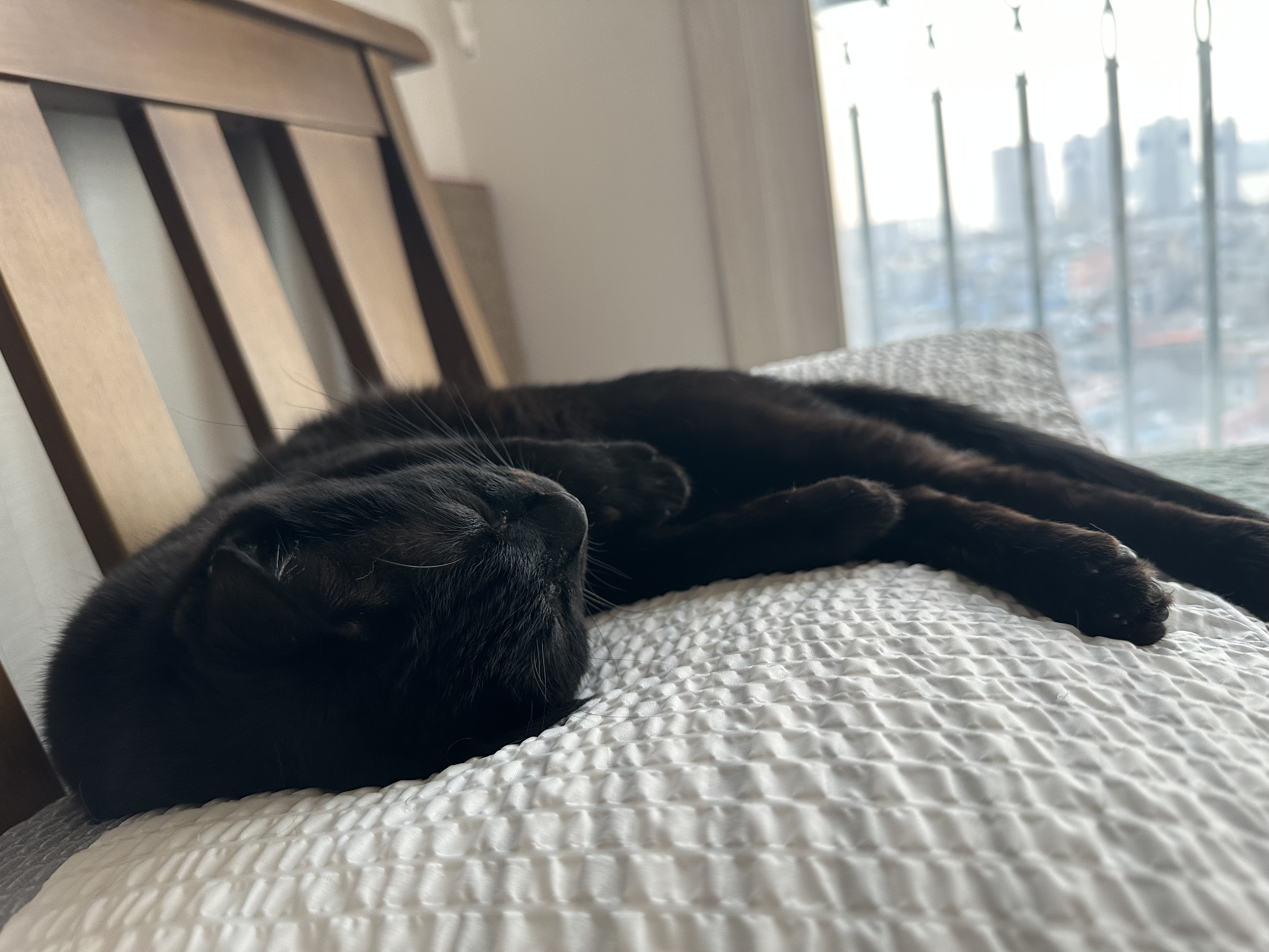 보고 있지 않아도 마음이 통하는 사이.