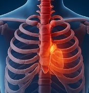 프로폴리스 효능