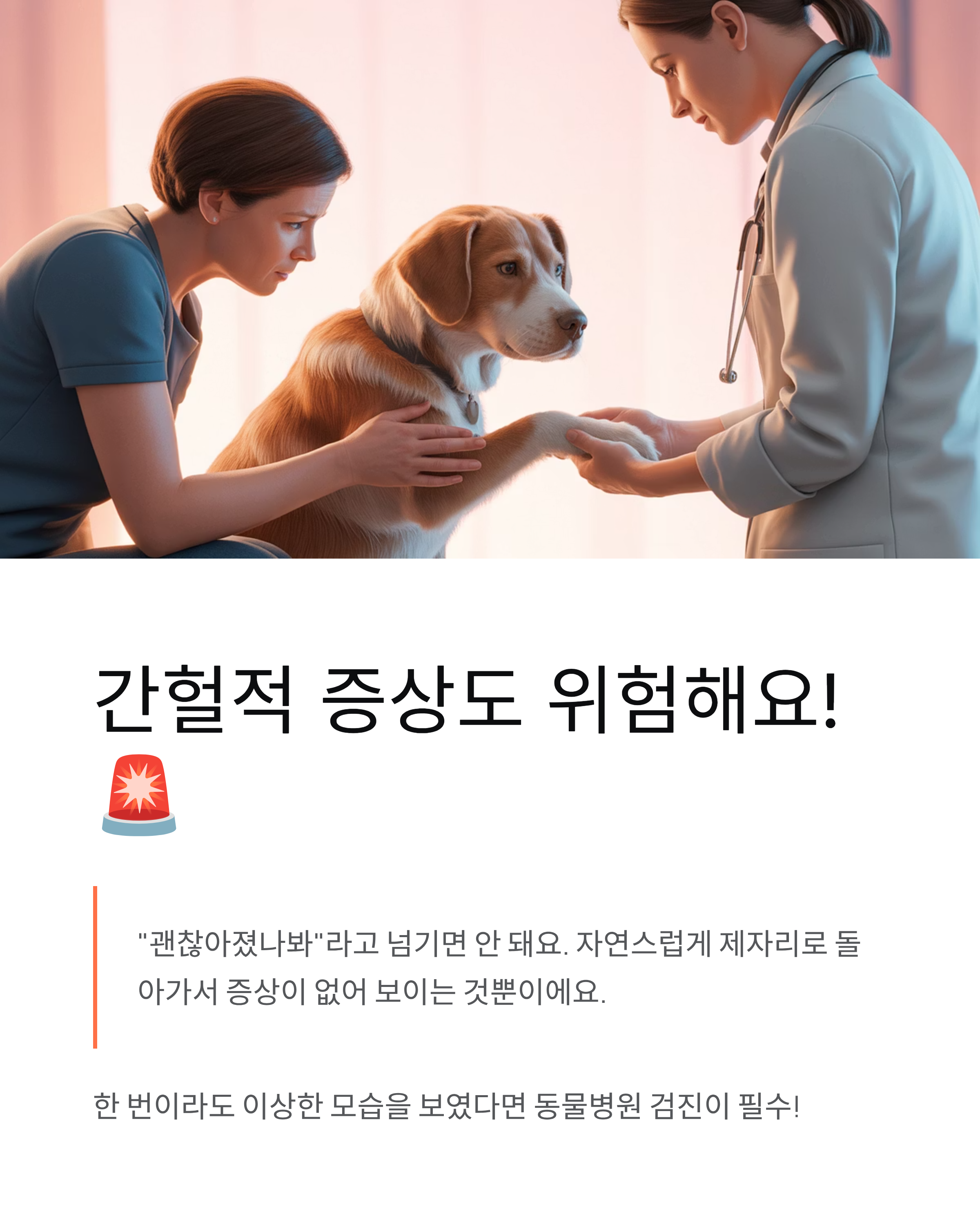 강아지 슬개골탈구 - 증상과 치료법, 우리 아이 다리 절뚝거린다면? 🐕