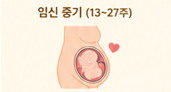 임신중기