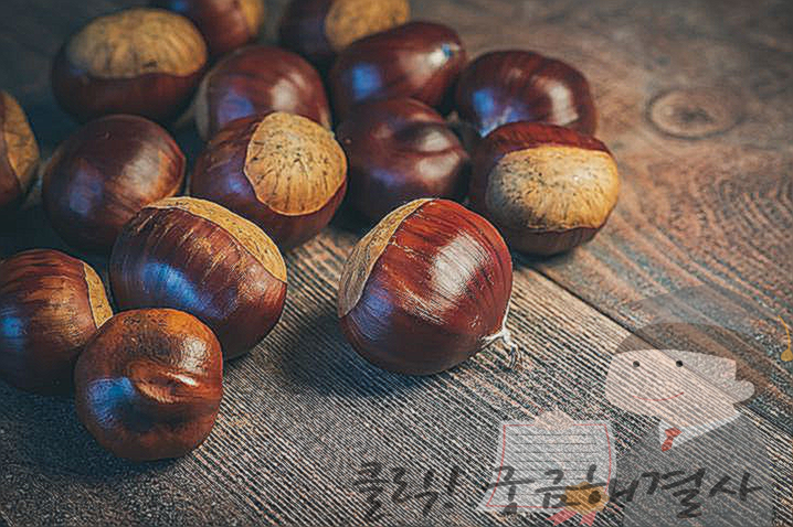생밤 보관법