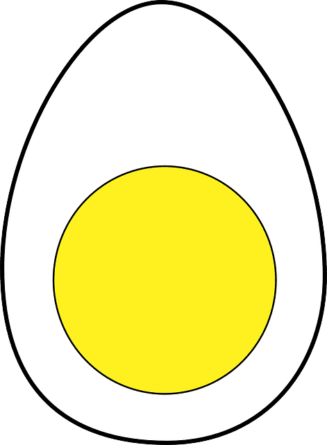 삶은계란속단면사진