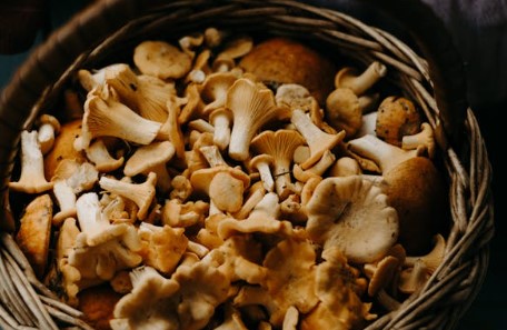 임업후계자 온라인 교육 이수 방법 신청 사이트