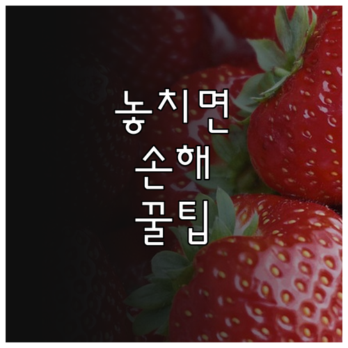 수출 비용 70% 절감! 2025 농..