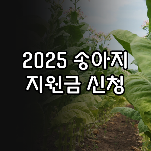 2025 송아지생산안정 사업 한우 농..